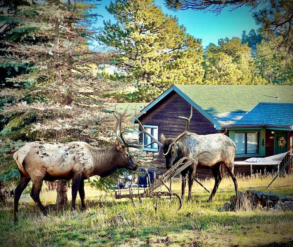 Mountain Shadows Resort Эстес Парк Экстерьер фото
